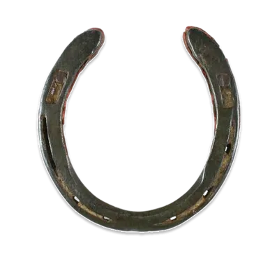 A worn metal horseshoe