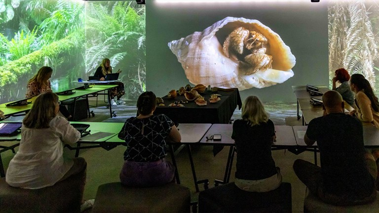 People sit surrounded by a projected rainforest in the Learning Lab during a Digital Art Class at Melbourne Museum.