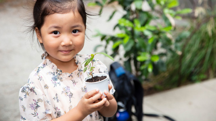 A child holding a potted seedling.