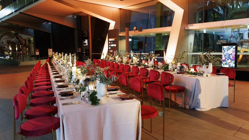 Seated dinner at Melbourne Museum, featuring a themed dining setup alongside a private viewing of ROME: Empire, Power, People