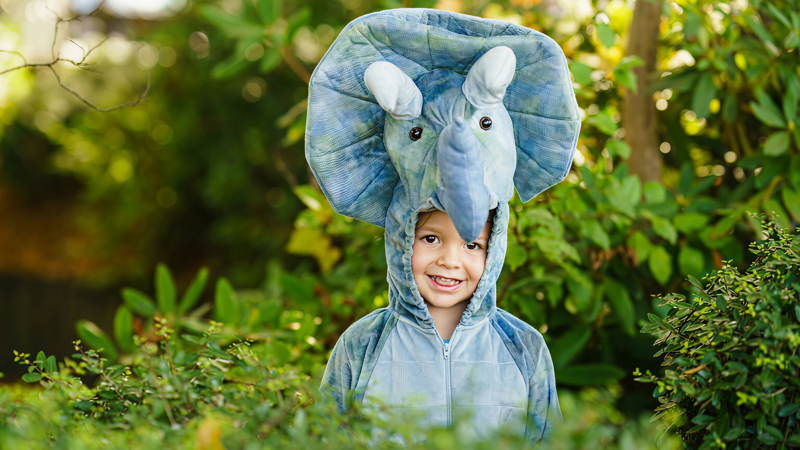 Mini Menagerie Parade