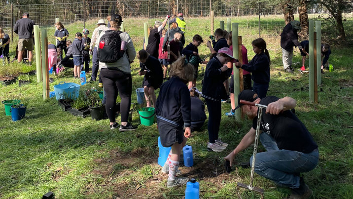 Students, teachers and parents from Wandin North Primary School and Friends of the Leadbeater's Possum committee members engaging in habitat regeneration at Yellingbo