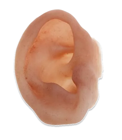 Prosthesis, Outer Ear, Right, pre 1991"