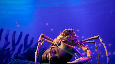 Young boy looks at a taxidermy model of a Great Spider Crab ((Leptomithrax gaimardii)) in wonder.