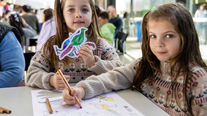 Children decorating their Our Wondrous Country drawing at Melbourne Museum.
