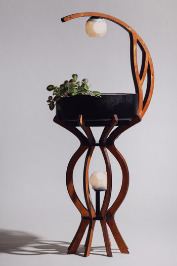 "Sculptural wooden stand with a curved, interlocking frame supporting a black rectangular planter with foliage and a pair of white, geometric lamps positioned at top and bottom. 
