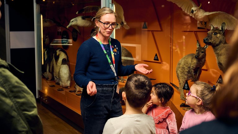 A museum staff member talk to a group of small children in front of an exhibition showcase of taxidermy specimens.