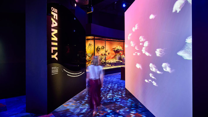 A woman walks through the entrance of the exhibition.
