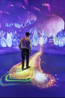 Visitors experiencing the digital interactive exhibition Antopia at Melbourne Museum.