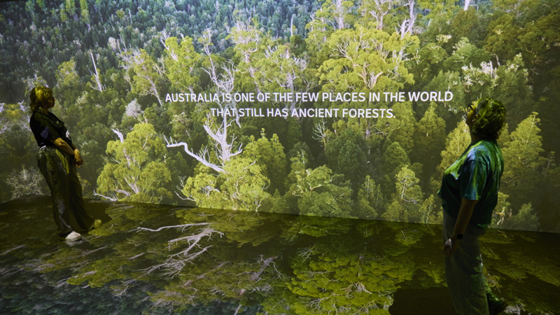 Two Adults standing, with projections of trees over their bodies and on the floor. 