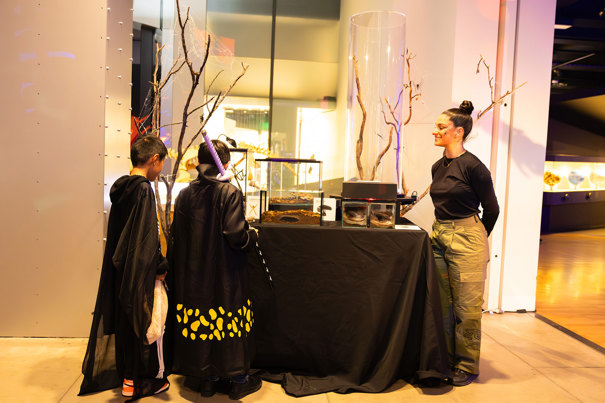 Children being show live exhibits during Halloween at the Museum.