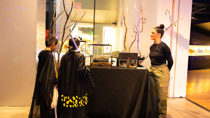 Children being show live exhibits during Halloween at the Museum.