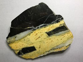 A black and yellow textured rock