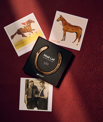 Flat lay of a horseshoe in a box surrounded by 3 prints relating to Phar Lap