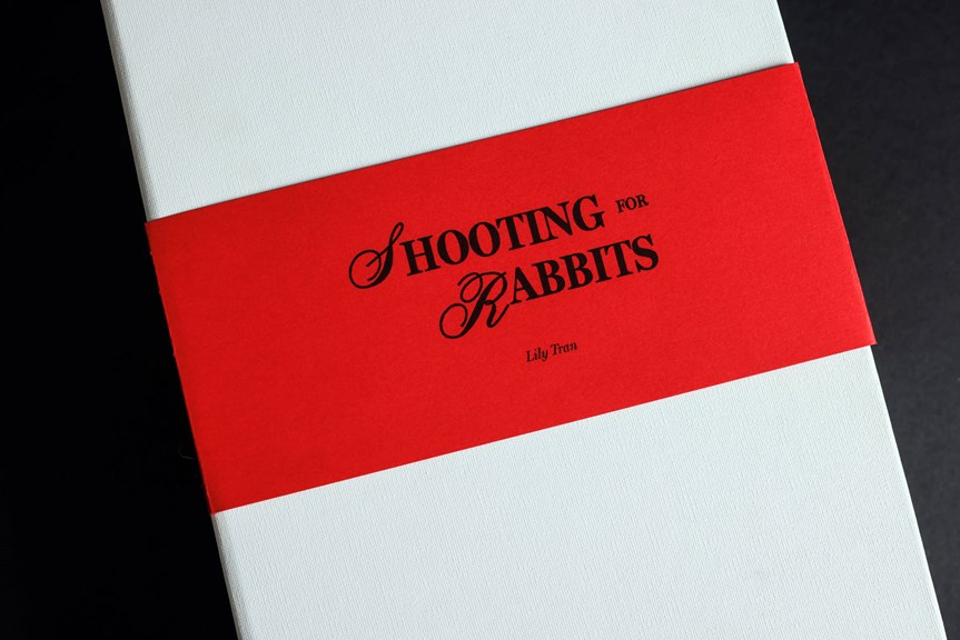 White box with a red label that reads 'Shooting for Rabbits, Lily Tran'.
