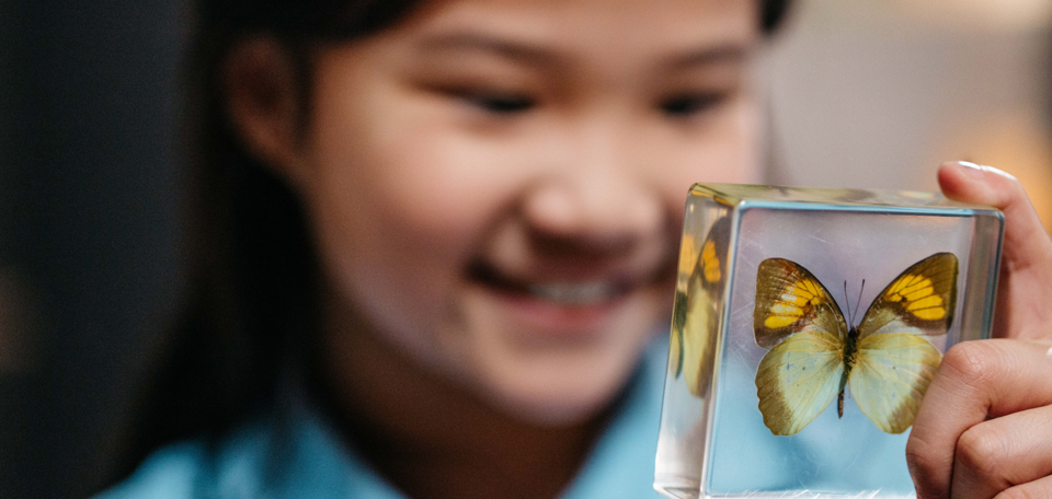 A young girl holding a butterfly specimen. 