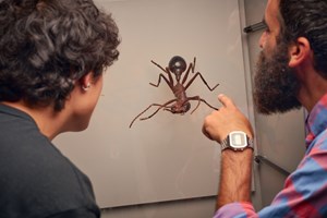Two adults pointing at  a picture of an ant.
