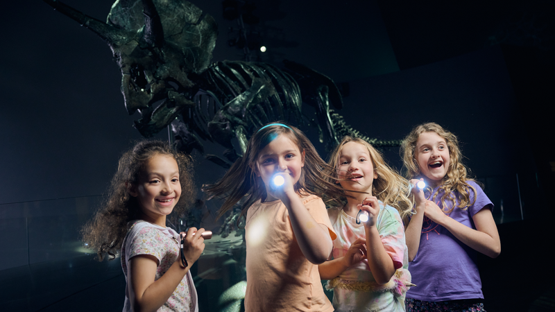 4 children with torches stand before Horridus the triceratops skeleton.