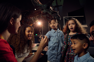 Children handling fossils in the Triceratops Exhibition.