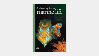 Cover of An Introduction to Marine Life