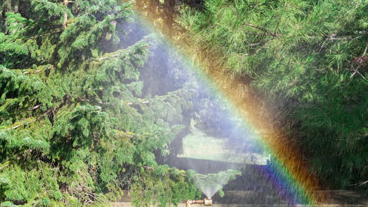 A rainbow of light appears in a spray of water.