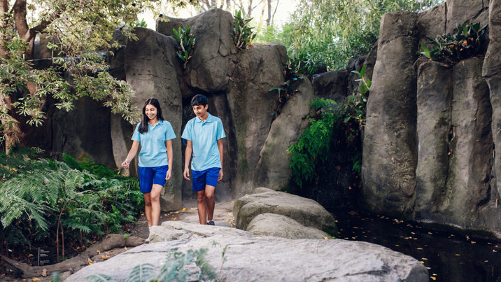 Two teenagers walk in the park