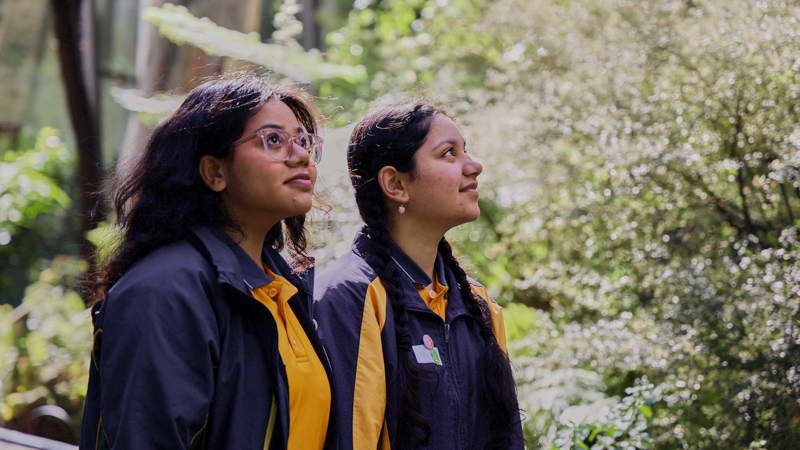 Two students look up at the trees in the forest gallery.