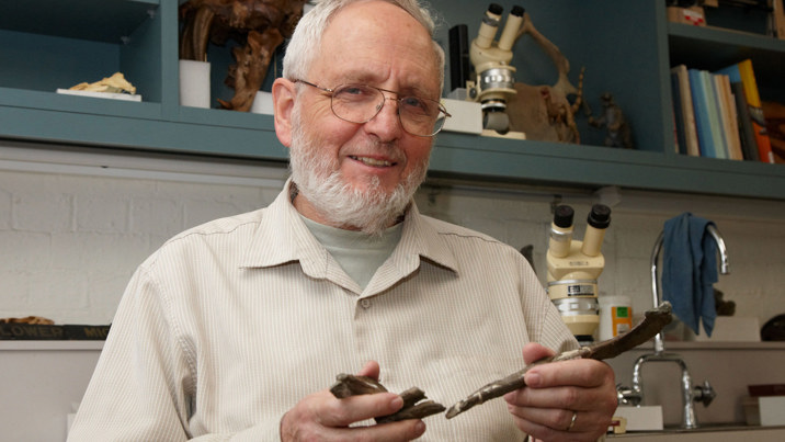 Person seated in a museum research workspace holding fossil specimens, with microscopes and collection materials visible in the background.