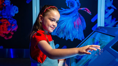 A child interacts with a touchscreen display in a dark, colourful exhibition space, with bright blue and red illuminated artwork in the background. 