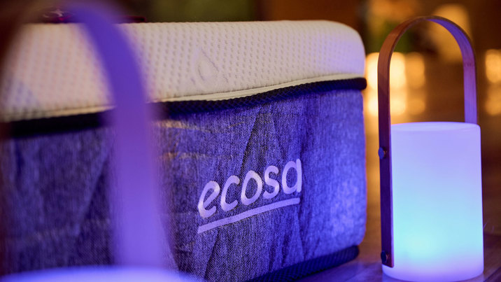 An Ecosa mattress beside lanterns on the floor of Dinosaur Walk Exhibition at Melbourne Museum.