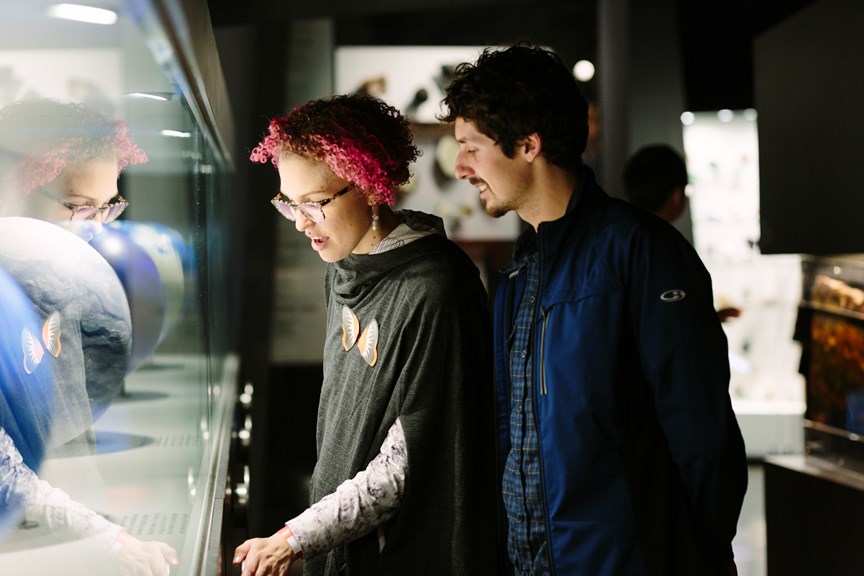 Adults enjoying child-free access to Dynamic Earth during Nocturnal at Melbourne Museum.