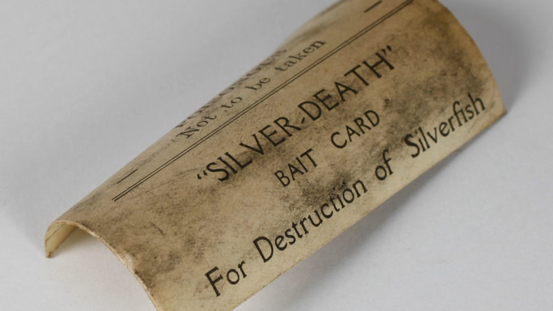 A curved white piece of cardboard that reads '"SILVER DEATH" bait card for destruction of silverfish'. 