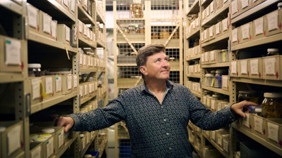 Dr Tim O'Hara inspecting a preserved specimens set out on shelves in a collection storage stack.