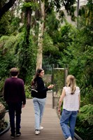 Three people walking away from the camera in the Forest Gallery at Melbourne Museum.