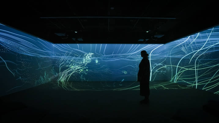 River Connections in the Learning Lab at Melbourne Museum