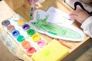 paints and insects ready to be coloured in.