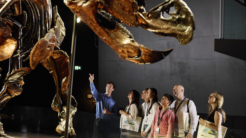 A tour guide points at Horridus the triceratops while giving a tour at Melbourne Museum.
