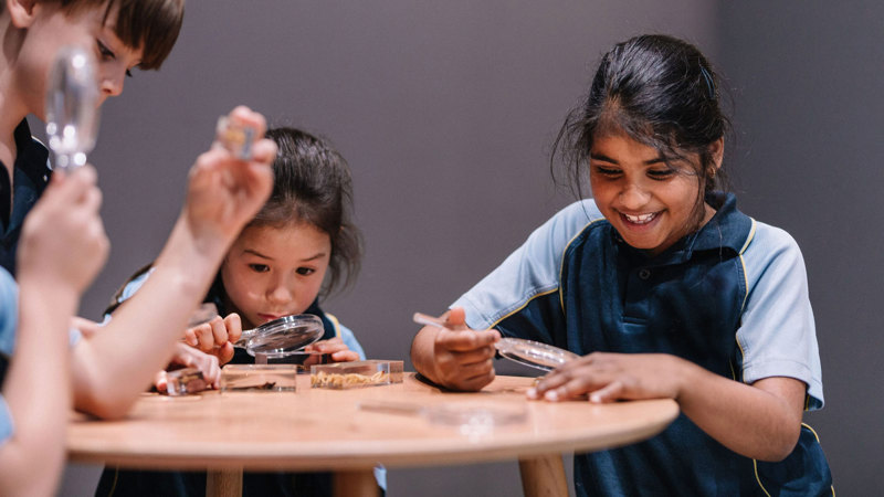 Four students around a small table, the students are really excited and curious as they look at insects through hand lens.