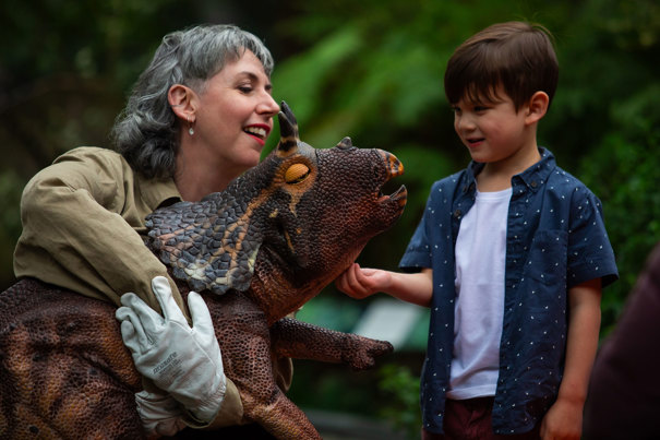 A small child patting a baby triceratops.