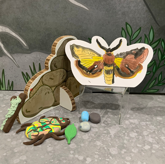 A moth and rock pile coloured illustration sits next to a plasticine bug in a close-up of a bugs themed Diorama.