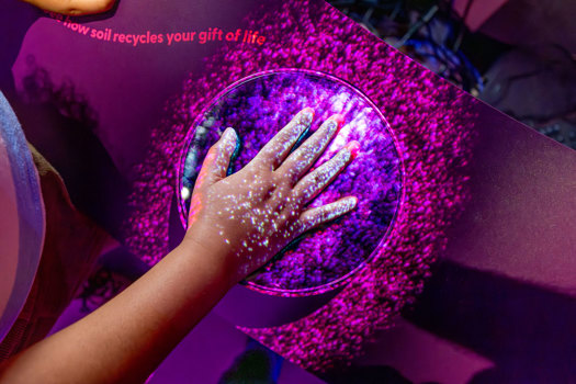 A hand presses an exhibition interactive button, causing the display to buzz with purple light.