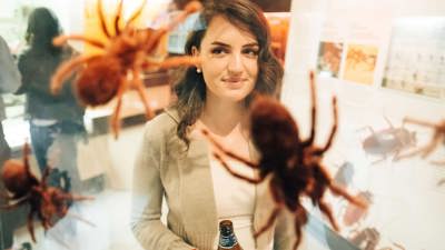  Adult visitor in the Bugs Alive! exhibition during Melbourne Museum's November 2017 Nocturnal event.