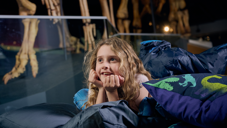 A child lies on sleeping bags and blankets on the floor of the museum beneath the massive skeleton of a dinosaur.