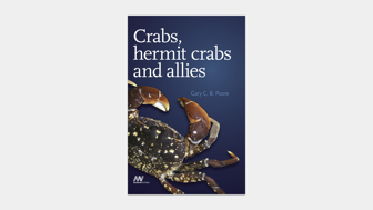 Cover of Museum Victoria field guide Crabs, Hermit Crabs and Allies