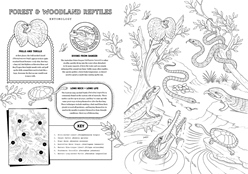 A page titles 'Forest & Woodland Reptiles' includes 7 reptile illustrations. A subsection titled 'Frills and Thrills' explains how the Frill-necked Lizard looks normal until scared when they open their bright mouths and puff up their frills to look larger. A second section titled 'Diving from Danger' explains that Australian Water Dragons dive into water when disturbed where they can stay for up to an hour. A third section 'Long Neck = Long Life' explains that Long-necked turtles can live up to 50 years.