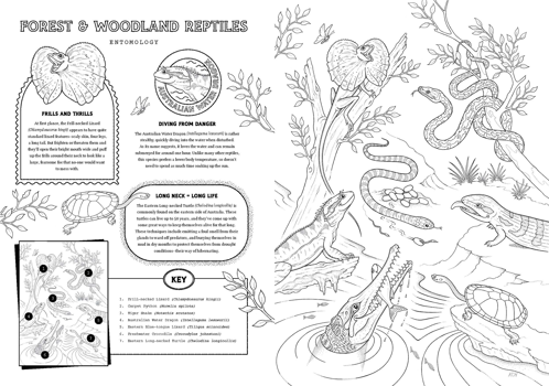 A page titles 'Forest & Woodland Reptiles' includes 7 reptile illustrations. A subsection titled 'Frills and Thrills' explains how the Frill-necked Lizard looks normal until scared when they open their bright mouths and puff up their frills to look larger. A second section titled 'Diving from Danger' explains that Australian Water Dragons dive into water when disturbed where they can stay for up to an hour. A third section 'Long Neck = Long Life' explains that Long-necked turtles can live up to 50 years.
