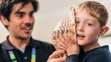 Child holds up a giant triton shell up to their ear.