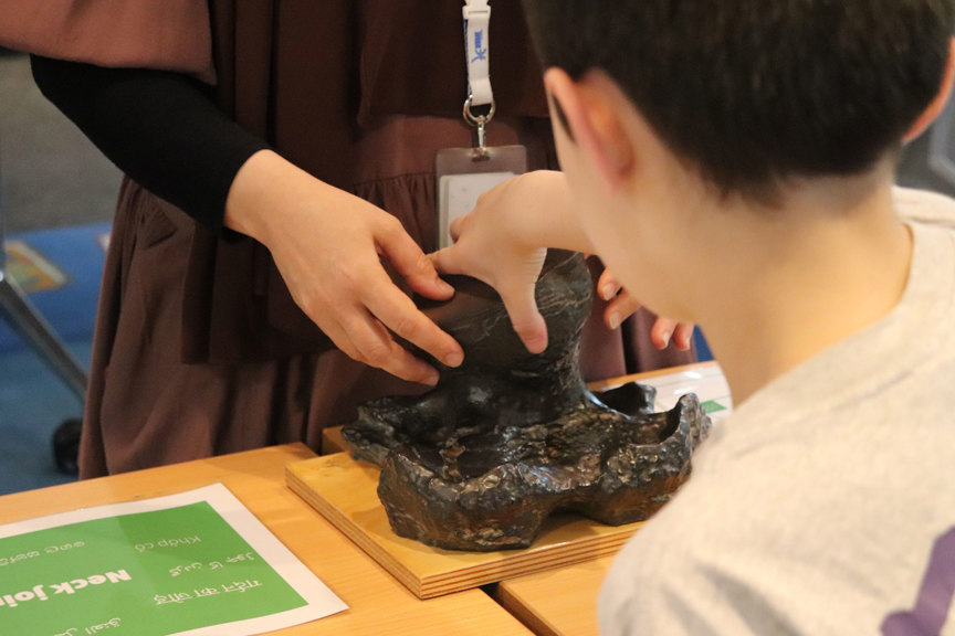 A student getting hands on with a fossil at a library.