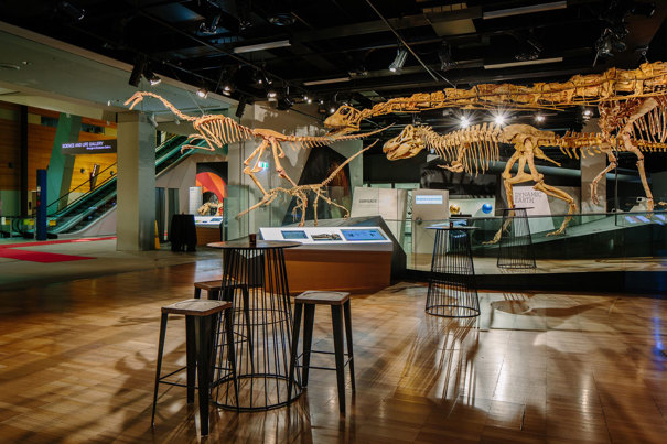 Cocktail tables and stools in front of the dinosaur skeletons in Dinosaur Walk