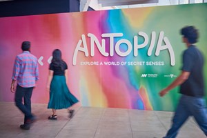 People entering Antopia exhibition.